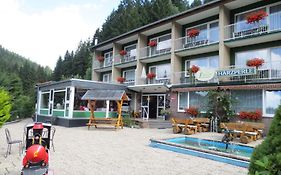 Hotel Harzperle Wildemann