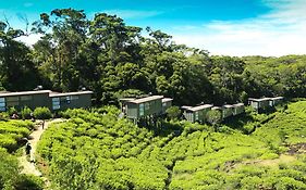 Rainforest Eco Lodge photos Exterior