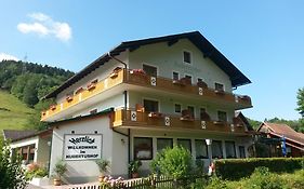 Gasthaus Hubertushof Trattenbach (lower Austria) 3*