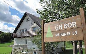 Guesthouse Bor Plitvice Lakes