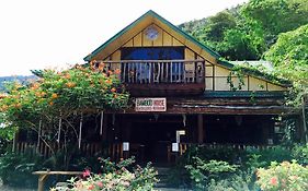 Bamboo House Beach Lodge & Restaurant photos Exterior