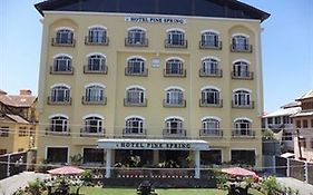 Hotel Pine Spring Wazir Bagh Srinagar