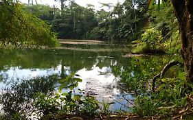 Colo i Suva Rainforest Eco Resort