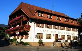 Hotel Gasthaus Zum Hirschen  3*