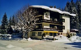 Hotel Alpenhof Annaberg  3*