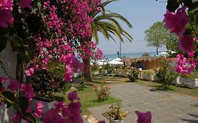 Hotel Paradise Zakynthos
