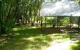 Camping Michol Palenque