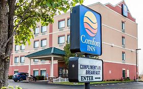 Comfort Inn East Windsor - Springfield