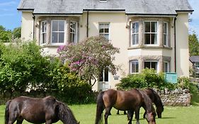 Dartmoor House B & B