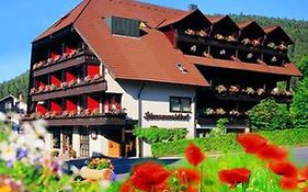 Hotel Schwarzwaldhof  3*