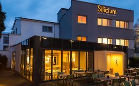 Hotel Silicium Höhr-Grenzhausen