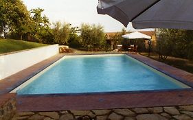Villa Oliveta photos Exterior
