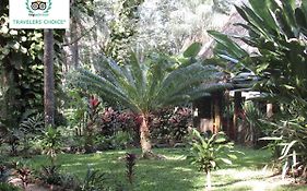 Macaw Bank Jungle Lodge