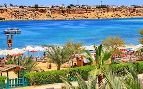 Turquoise Beach Hotel Sharm El Sheikh 3*