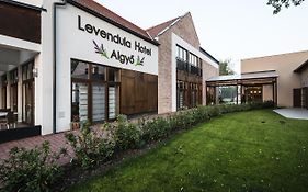 Algyő Levendula Hotel