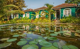 Aquatica Resorts & Spa Morjim India