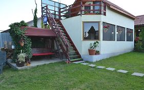 Casa Chitu Guest House Murighiol România