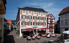 Hotel Karpfen  3*