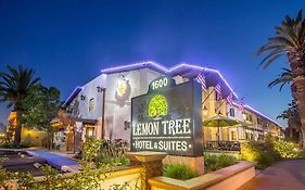 Lemon Tree Hotel In Anaheim California 3*