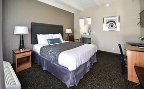 City Center Inn And Suites San Francisco 2*