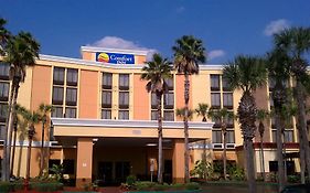 Comfort Inn At The Parks