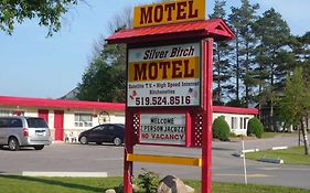 Silver Birch Motel Goderich 3*