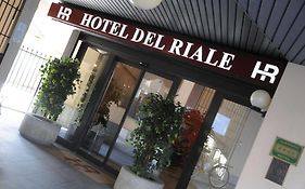 Hotel Del Riale  4*
