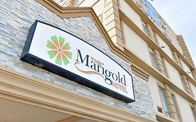 Marigold Hotel Toronto