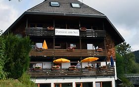 Hotel Pension Am See  3*