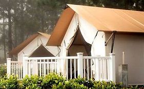 Luxury Camping photos Exterior