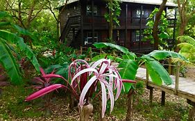 Upachaya Eco-Lodge & Wellness Resort photos Exterior