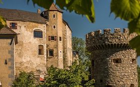 Burg Plankenstein Texing