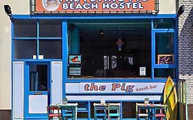 The Flying Pig Beach Hostel, Ages 18 - 40