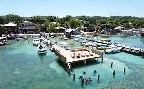 Splash Inn Dive Resort Roatan