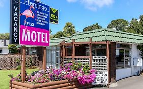 Flamingo Motel New Plymouth Nz 3*