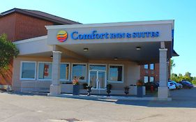Comfort Inn & Suites Barrie  Canada