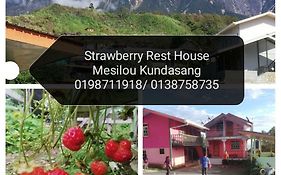 Strawberry Rest House Mesilou Kundasang