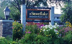 Stoweflake Mountain Resort And Spa 4*