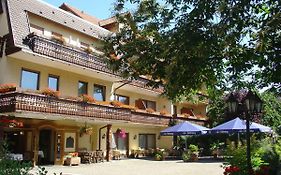 Hotel Pflug in Oberkirch