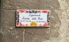 Apartments Aurora Delle Rose Assisi