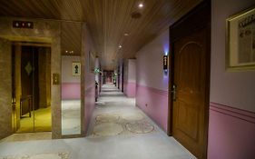 Hotel Sai Palace Mangalore 3*