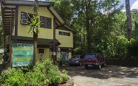 Selva Verde Lodge Puerto Viejo De Sarapiqui Costa Rica