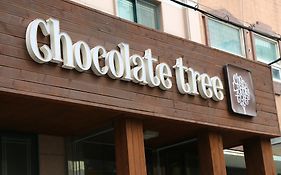 Chocolate Tree 酒店