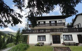 Pension Edelweiss Lachtal