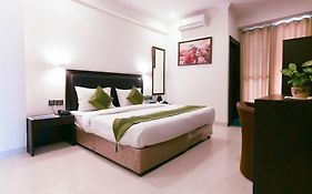 Treebo Hotel Delhi