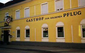 Hotel Gasthof Zum Goldenen Pflug Amstetten 3* Österreich