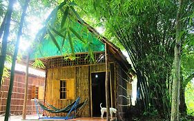 Green Village Homestay Can Tho