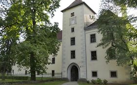 Schloss Gmünd