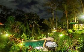 Bali Jungle Villa