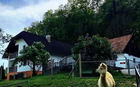 Ferienhaus Cria Valley Alpacas Riegersburg Österreich